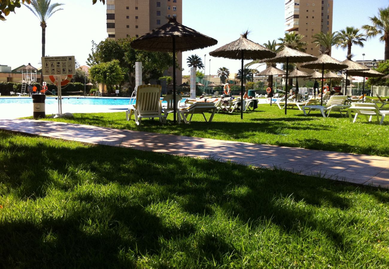 Apartamento en Torremolinos - 7 D playamar