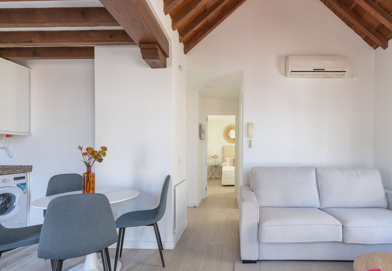 Apartamento en Málaga -  Thyssen Penthouse  with terrace 3A