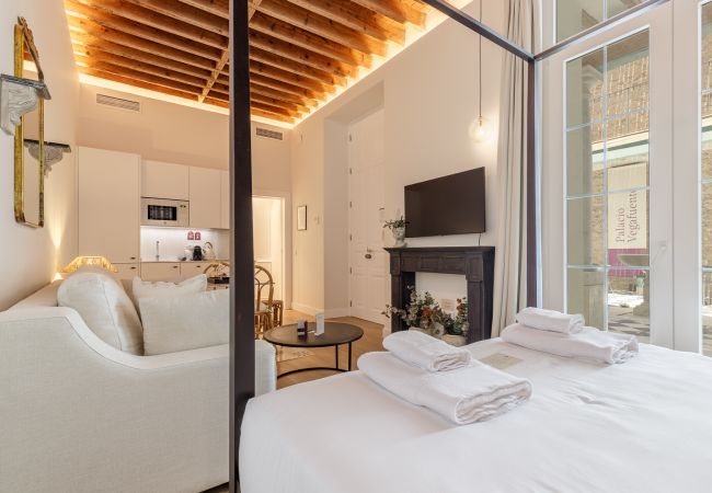 Estudio en Málaga - Palacio Vegafuente 0.3 Estudio en Málaga - Palacio Vegafuente 0.3