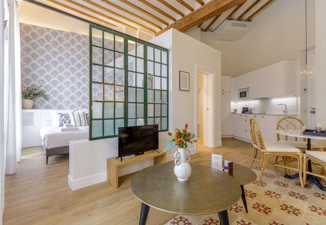 Apartamento en Málaga - Palacio Vegafuente 1.1 Apartamento en Málaga - Palacio Vegafuente 1.1