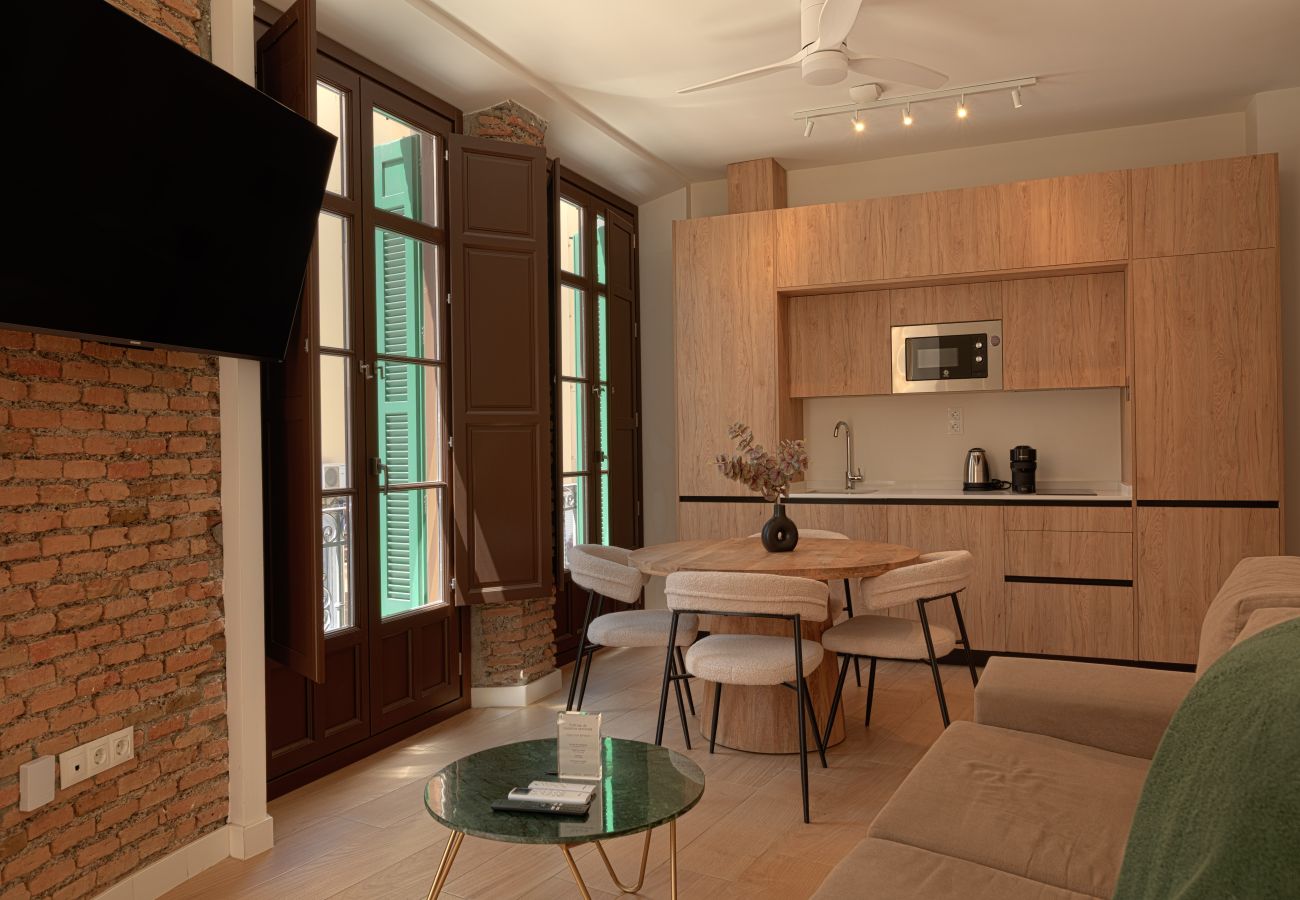 Apartamento en Málaga - El Racimo Apartment 1A