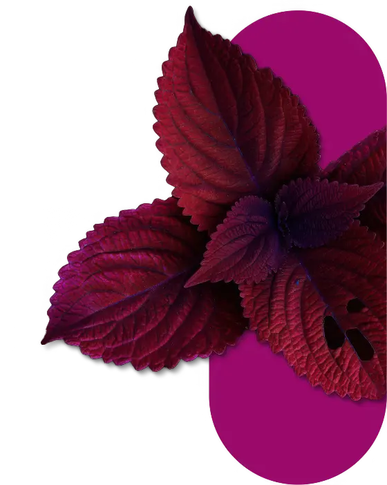 Formulario propietarios