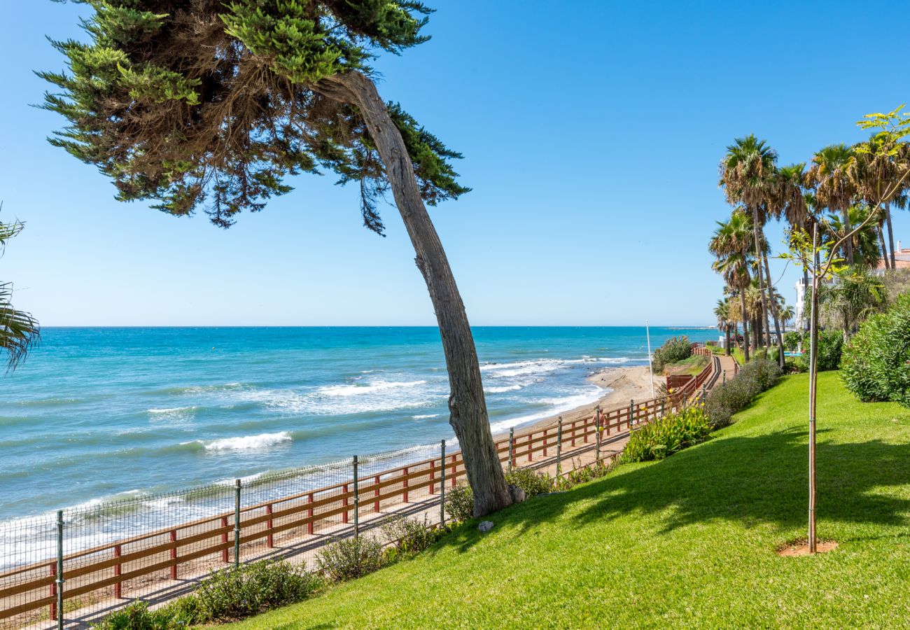 Ferienwohnung in Mijas - Algaida Beach Apartment, Calahonda de Mijas