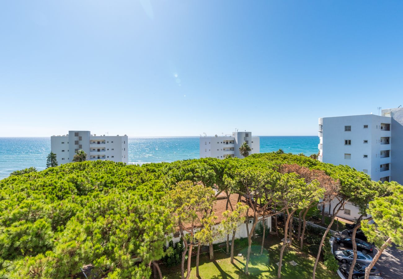 Ferienwohnung in Mijas - Algaida Beach Apartment, Calahonda de Mijas