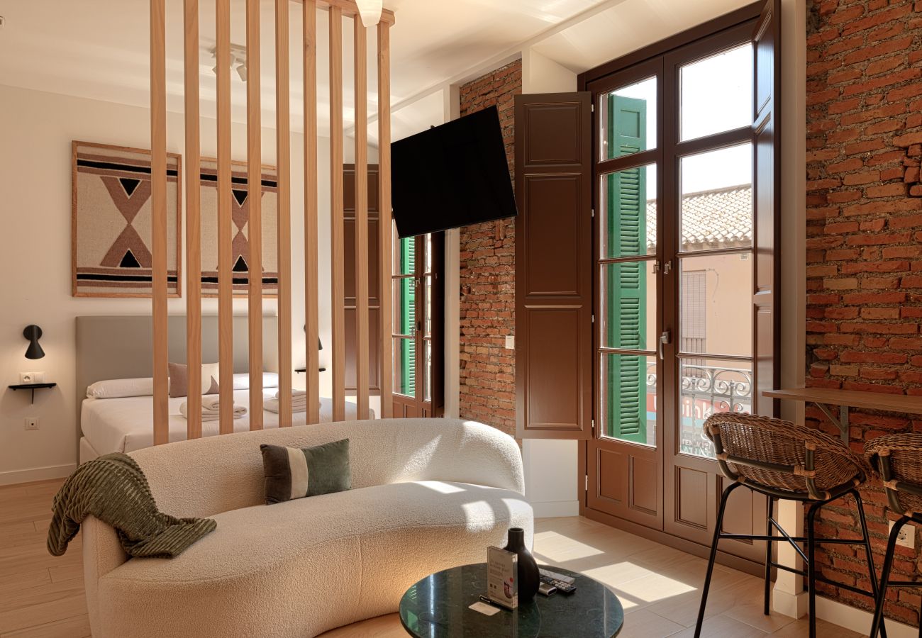 Studio in Málaga - El Racimo Apartment 1B