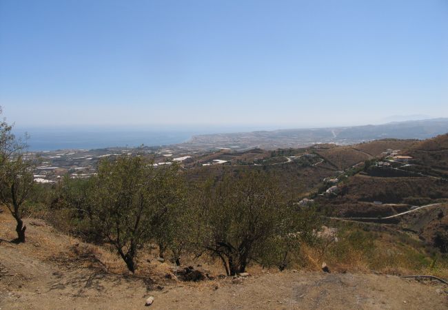 Villa in Algarrobo - Casa Turbolina - Large Country House with Private Pool Villa in Algarrobo - Casa Turbolina - Large Country House with Private Pool