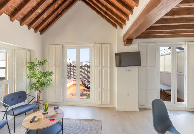 Apartment in Málaga -  Thyssen Penthouse  with terrace 3A Apartment in Málaga -  Thyssen Penthouse  with terrace 3A