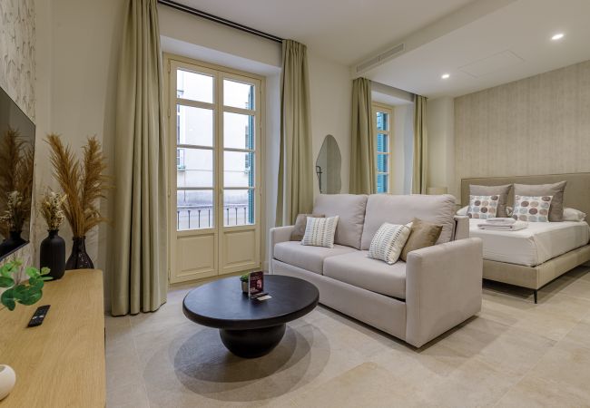 Studio in Málaga - Plaza del Siglo - Suite 1C Studio in Málaga - Plaza del Siglo - Suite 1C