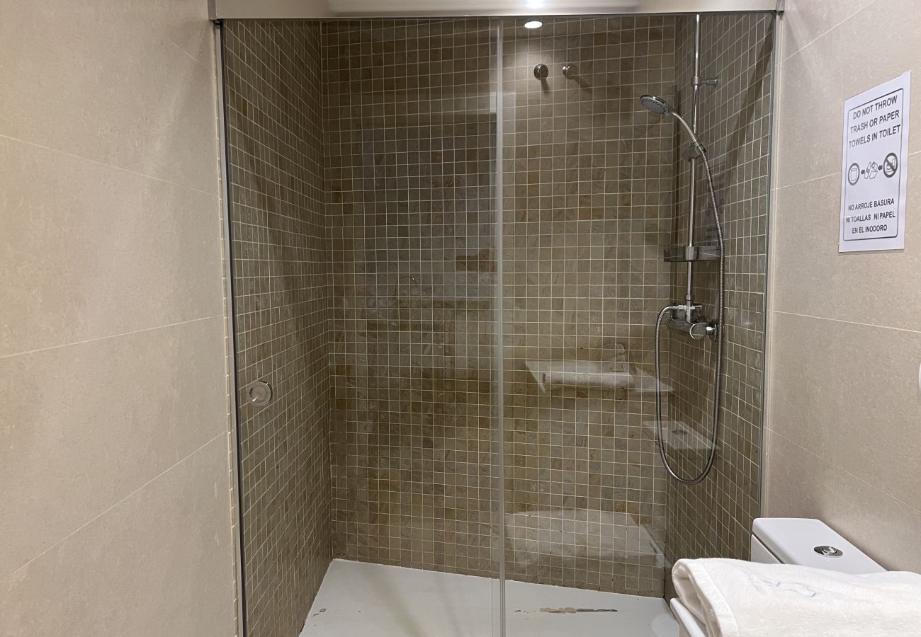 Apartment in Málaga - Souvirón de Torres I