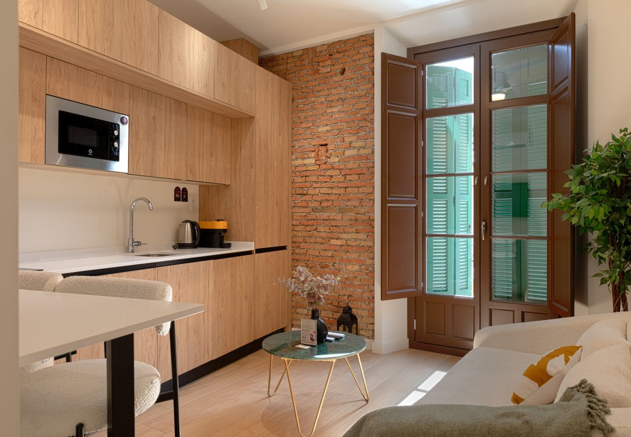Studio in Málaga - El Racimo Apartment 1C